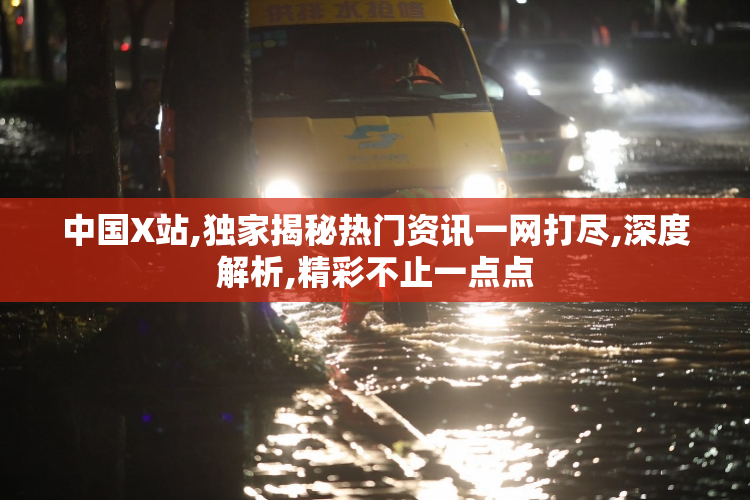 中国X站,独家揭秘热门资讯一网打尽,深度解析,精彩不止一点点