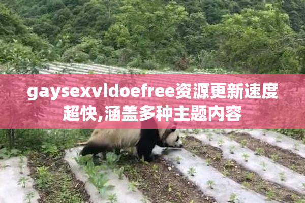 gaysexvidoefree资源更新速度超快,涵盖多种主题内容
