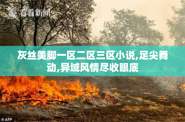 灰丝美脚一区二区三区小说,足尖舞动,异域风情尽收眼底