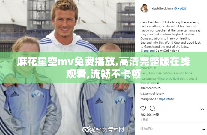 麻花星空mv免费播放,高清完整版在线观看,流畅不卡顿