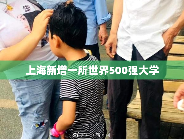 上海新增一所世界500强大学