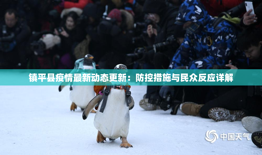 镇平县疫情最新动态更新：防控措施与民众反应详解