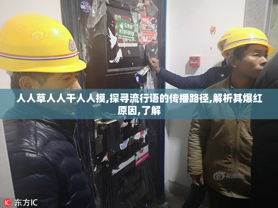 人人草人人干人人摸,探寻流行语的传播路径,解析其爆红原因,了解