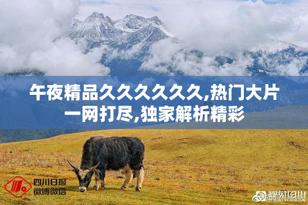 午夜精品久久久久久久,热门大片一网打尽,独家解析精彩