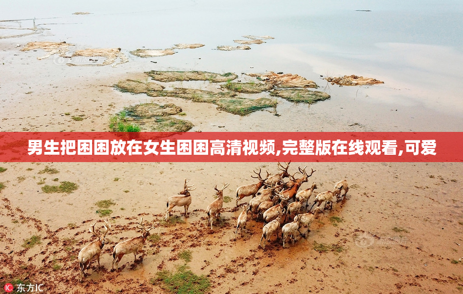 男生把困困放在女生困困高清视频,完整版在线观看,可爱