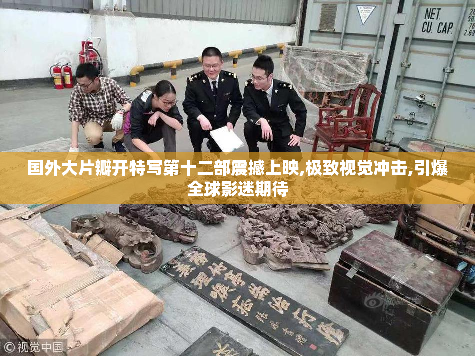 国外大片瓣开特写第十二部震撼上映,极致视觉冲击,引爆全球影迷期待