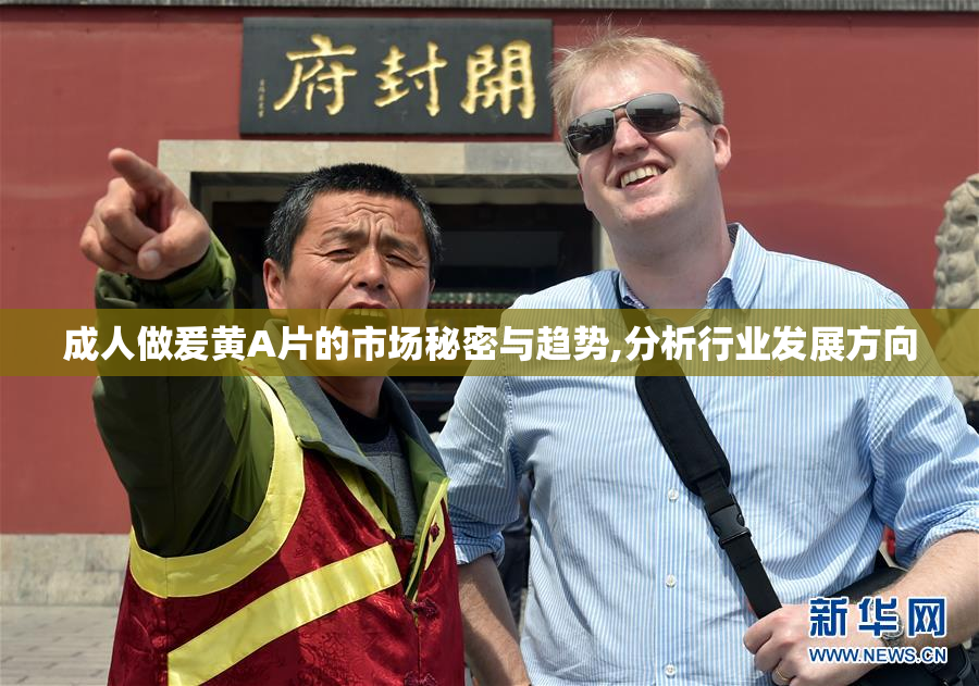 成人做爰黄A片的市场秘密与趋势,分析行业发展方向