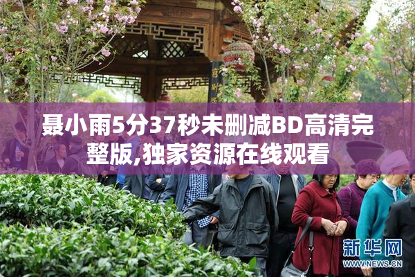 聂小雨5分37秒未删减BD高清完整版,独家资源在线观看