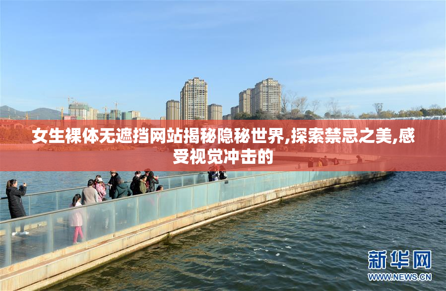 女生裸体无遮挡网站揭秘隐秘世界,探索禁忌之美,感受视觉冲击的