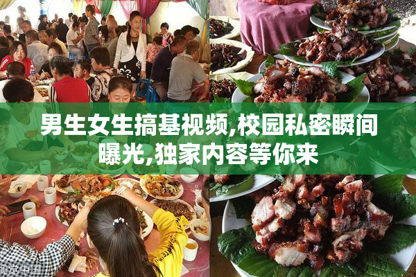 男生女生搞基视频,校园私密瞬间曝光,独家内容等你来