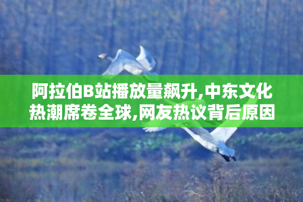 阿拉伯B站播放量飙升,中东文化热潮席卷全球,网友热议背后原因