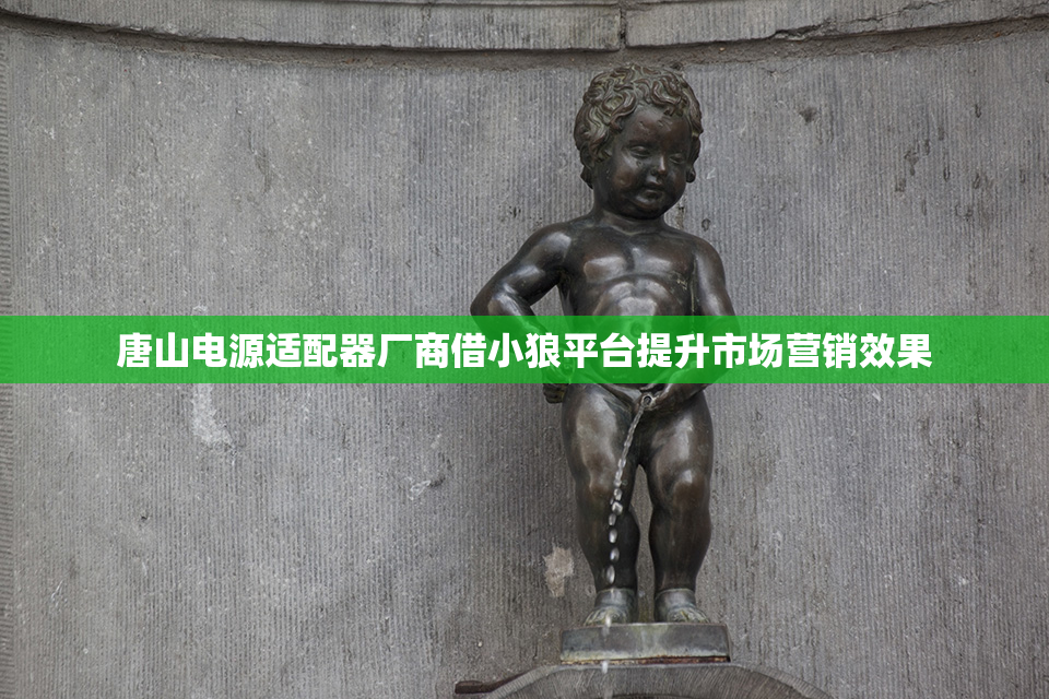 唐山电源适配器厂商借小狼平台提升市场营销效果