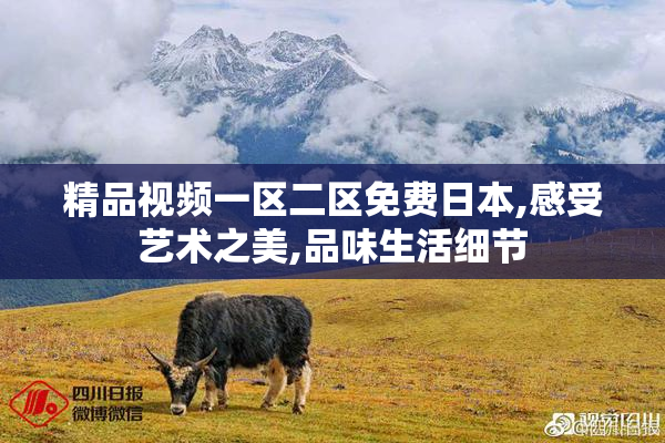 精品视频一区二区免费日本,感受艺术之美,品味生活细节