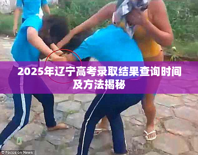 2025年辽宁高考录取结果查询时间及方法揭秘