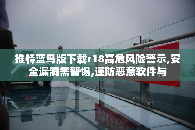 推特蓝鸟版下载r18高危风险警示,安全漏洞需警惕,谨防恶意软件与