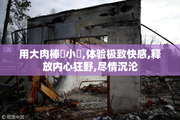 用大肉棒肏小屄,体验极致快感,释放内心狂野,尽情沉沦
