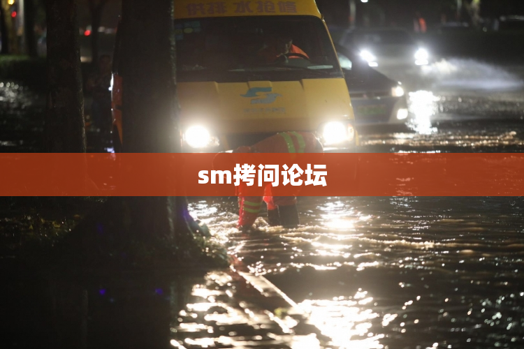 sm拷问论坛