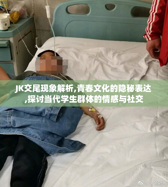 JK交尾现象解析,青春文化的隐秘表达,探讨当代学生群体的情感与社交