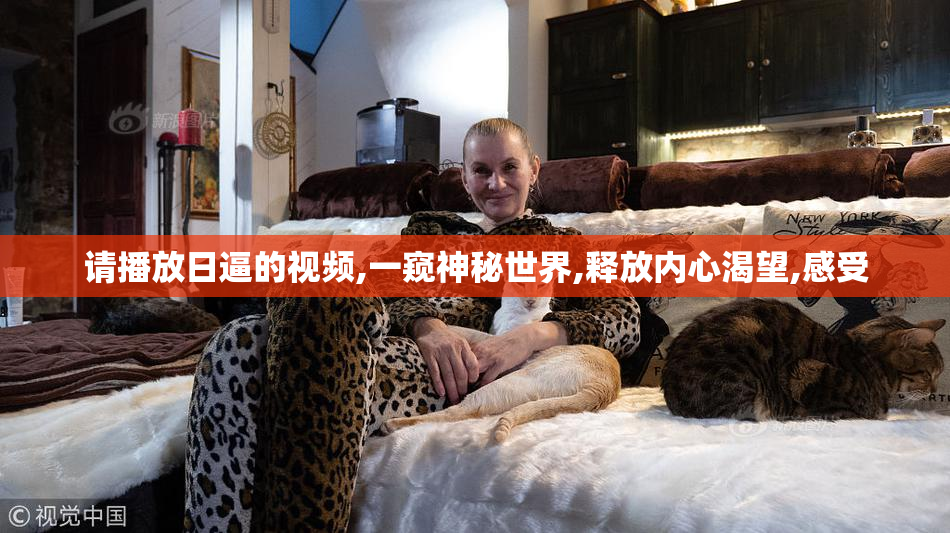 请播放日逼的视频,一窥神秘世界,释放内心渴望,感受