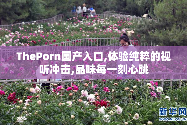 ThePorn国产入口,体验纯粹的视听冲击,品味每一刻心跳