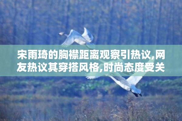 宋雨琦的胸襟距离观察引热议,网友热议其穿搭风格,时尚态度受关注