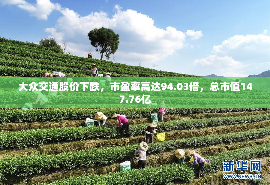 大众交通股价下跌，市盈率高达94.03倍，总市值147.76亿