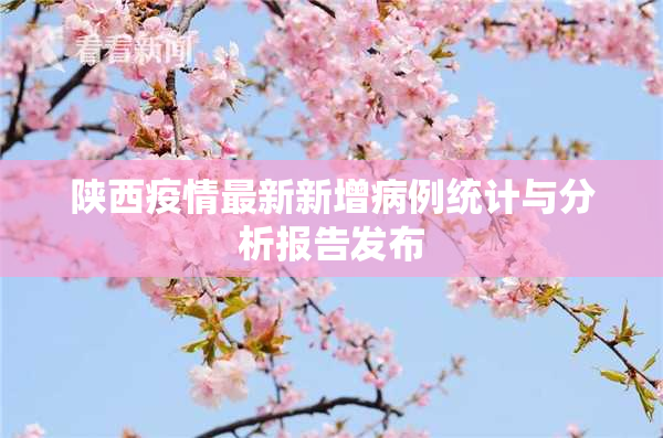 陕西疫情最新新增病例统计与分析报告发布