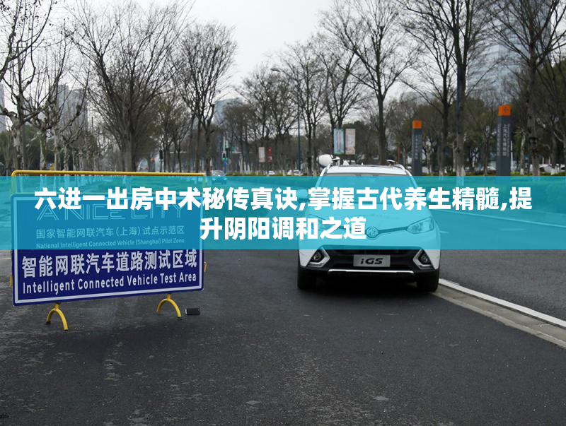六进一出房中术秘传真诀,掌握古代养生精髓,提升阴阳调和之道