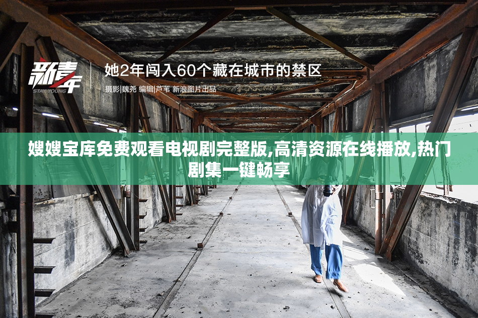 嫂嫂宝库免费观看电视剧完整版,高清资源在线播放,热门剧集一键畅享