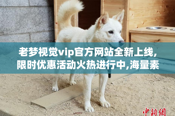 老梦视觉vip官方网站全新上线,限时优惠活动火热进行中,海量素材等