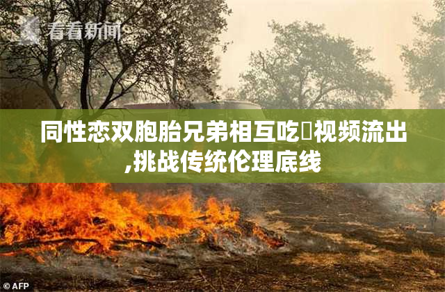 同性恋双胞胎兄弟相互吃屌视频流出,挑战传统伦理底线
