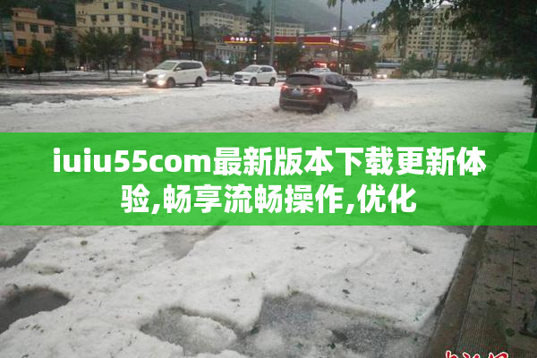 iuiu55com最新版本下载更新体验,畅享流畅操作,优化