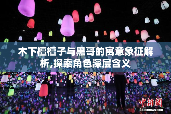 木下檀檀子与黑哥的寓意象征解析,探索角色深层含义