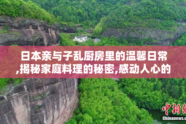 日本亲与子乱厨房里的温馨日常,揭秘家庭料理的秘密,感动人心的