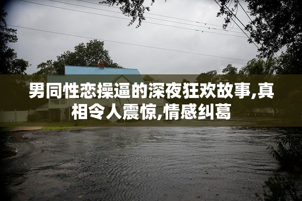 男同性恋操逼的深夜狂欢故事,真相令人震惊,情感纠葛