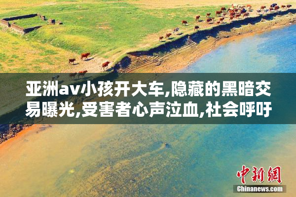 亚洲av小孩开大车,隐藏的黑暗交易曝光,受害者心声泣血,社会呼吁