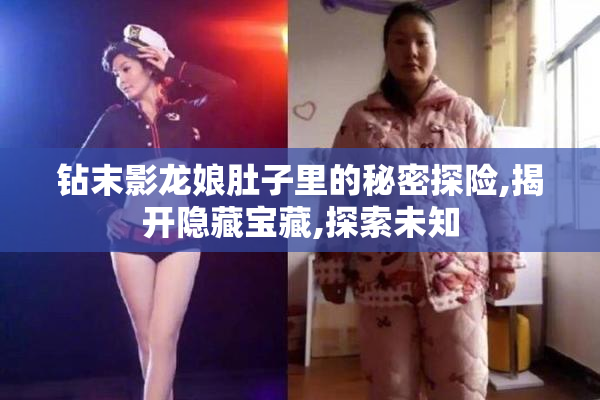 钻末影龙娘肚子里的秘密探险,揭开隐藏宝藏,探索未知