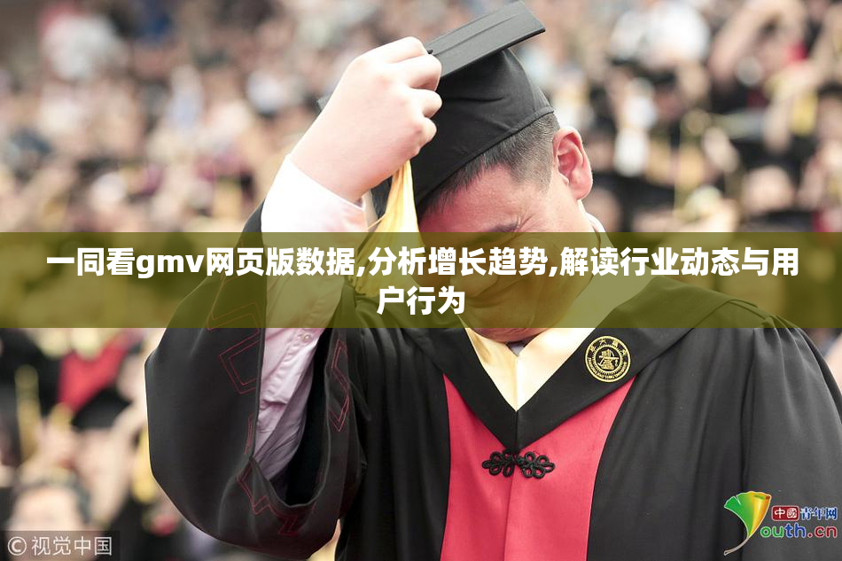 一同看gmv网页版数据,分析增长趋势,解读行业动态与用户行为