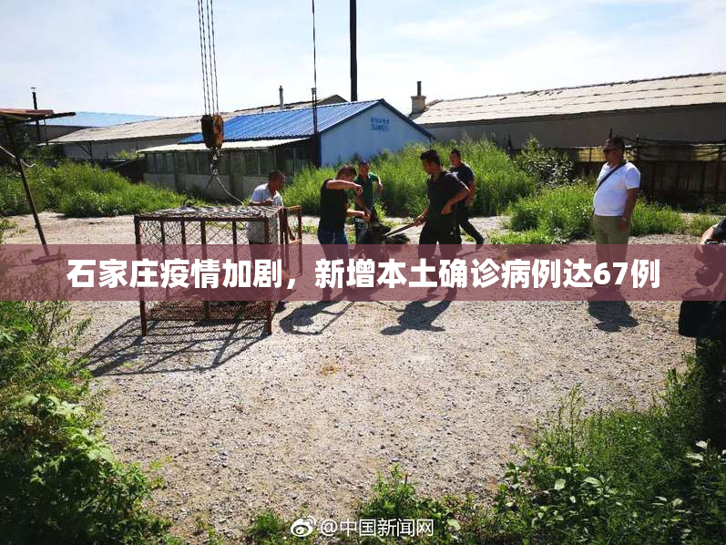 石家庄疫情加剧，新增本土确诊病例达67例