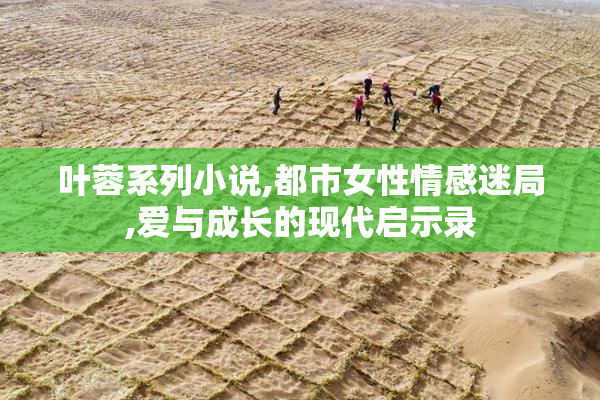 叶蓉系列小说,都市女性情感迷局,爱与成长的现代启示录