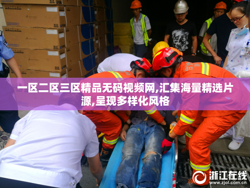 一区二区三区精品无码视频网,汇集海量精选片源,呈现多样化风格