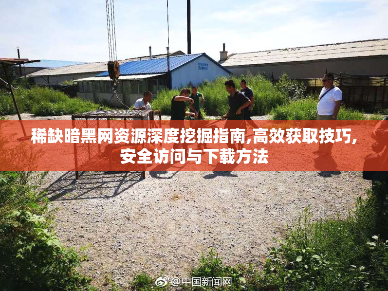 稀缺暗黑网资源深度挖掘指南,高效获取技巧,安全访问与下载方法