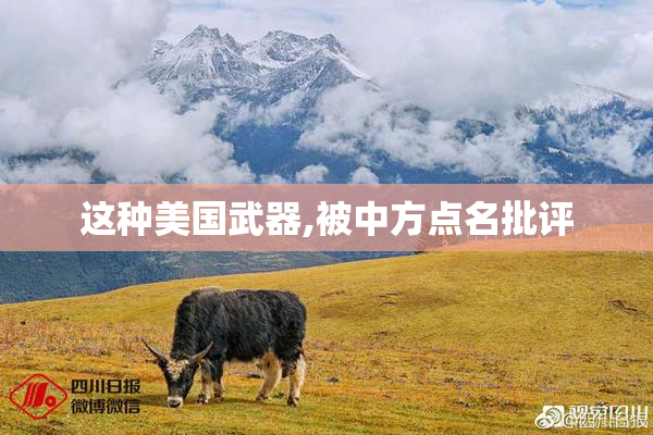 这种美国武器,被中方点名批评