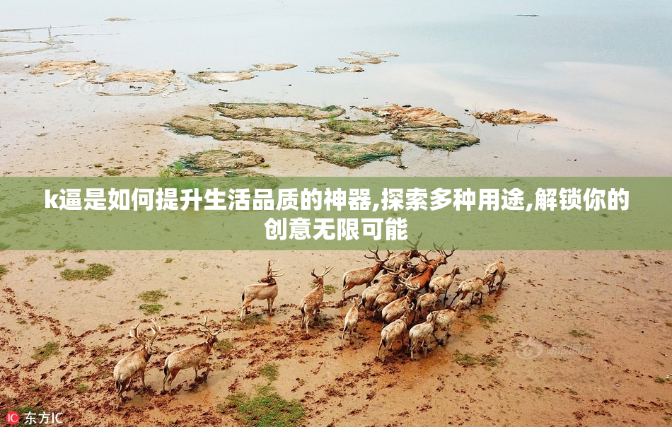 k逼是如何提升生活品质的神器,探索多种用途,解锁你的创意无限可能