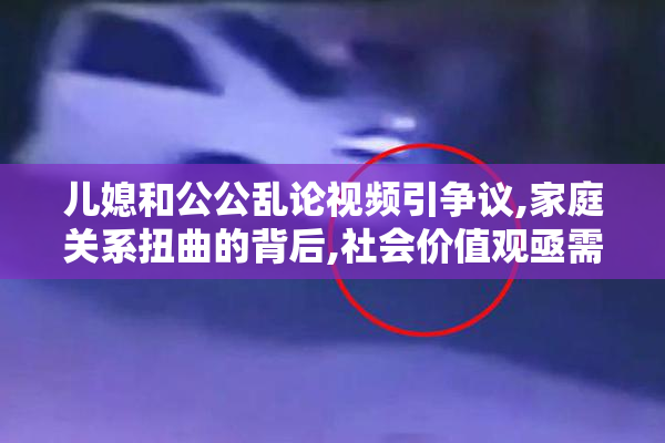 儿媳和公公乱论视频引争议,家庭关系扭曲的背后,社会价值观亟需