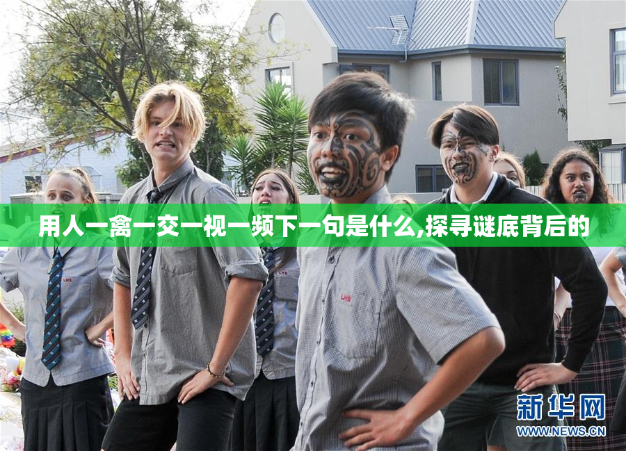 用人一禽一交一视一频下一句是什么,探寻谜底背后的