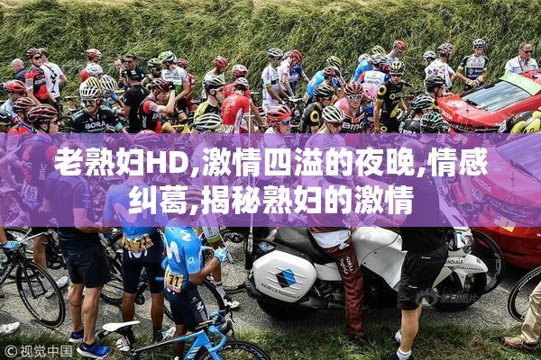 老熟妇HD,激情四溢的夜晚,情感纠葛,揭秘熟妇的激情
