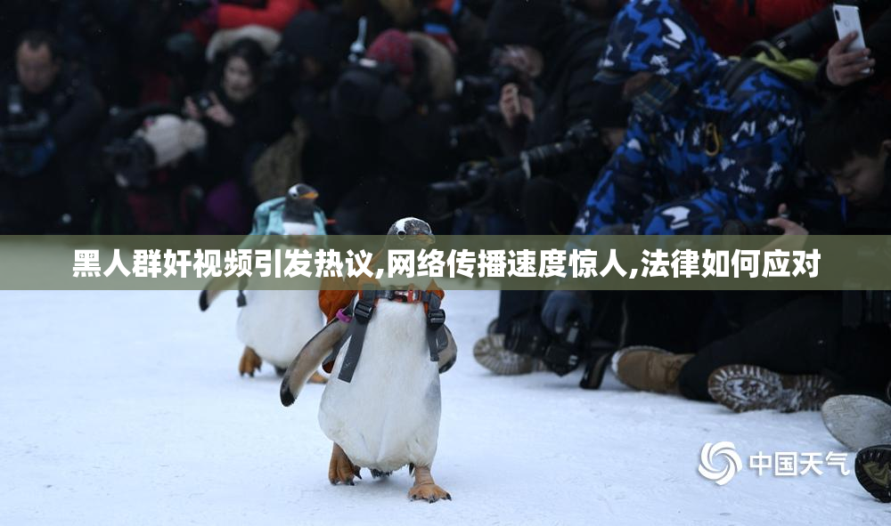 黑人群奸视频引发热议,网络传播速度惊人,法律如何应对