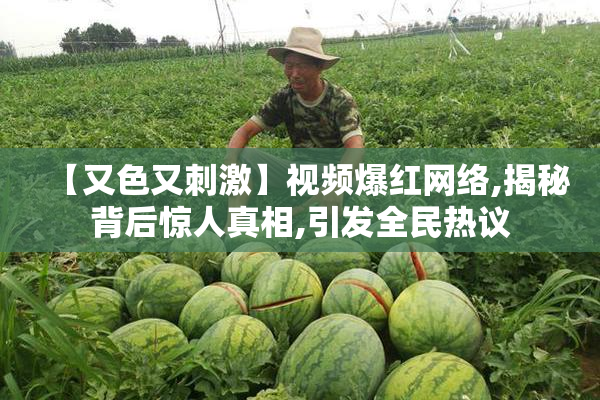 【又色又刺激】视频爆红网络,揭秘背后惊人真相,引发全民热议