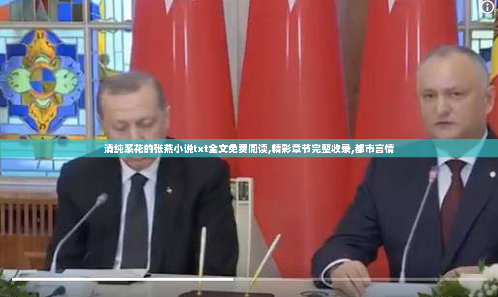 清纯系花的张燕小说txt全文免费阅读,精彩章节完整收录,都市言情